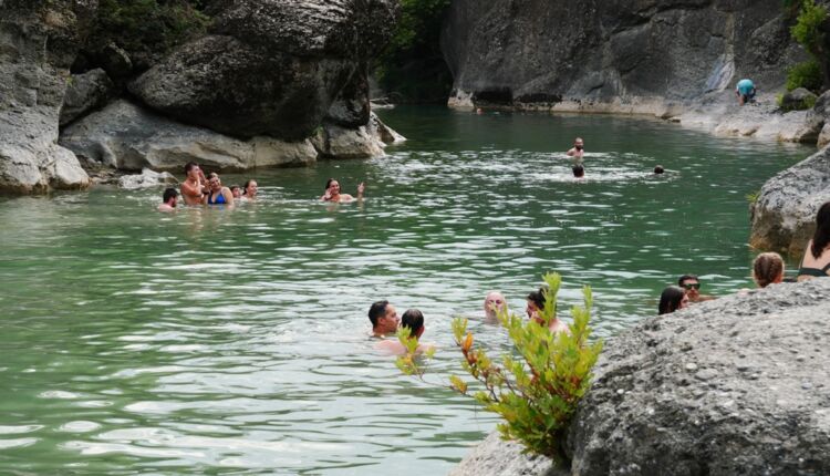 venetikos grevena tessera